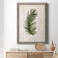 Palm Botanical II - Barnwood Framed Canvas Print