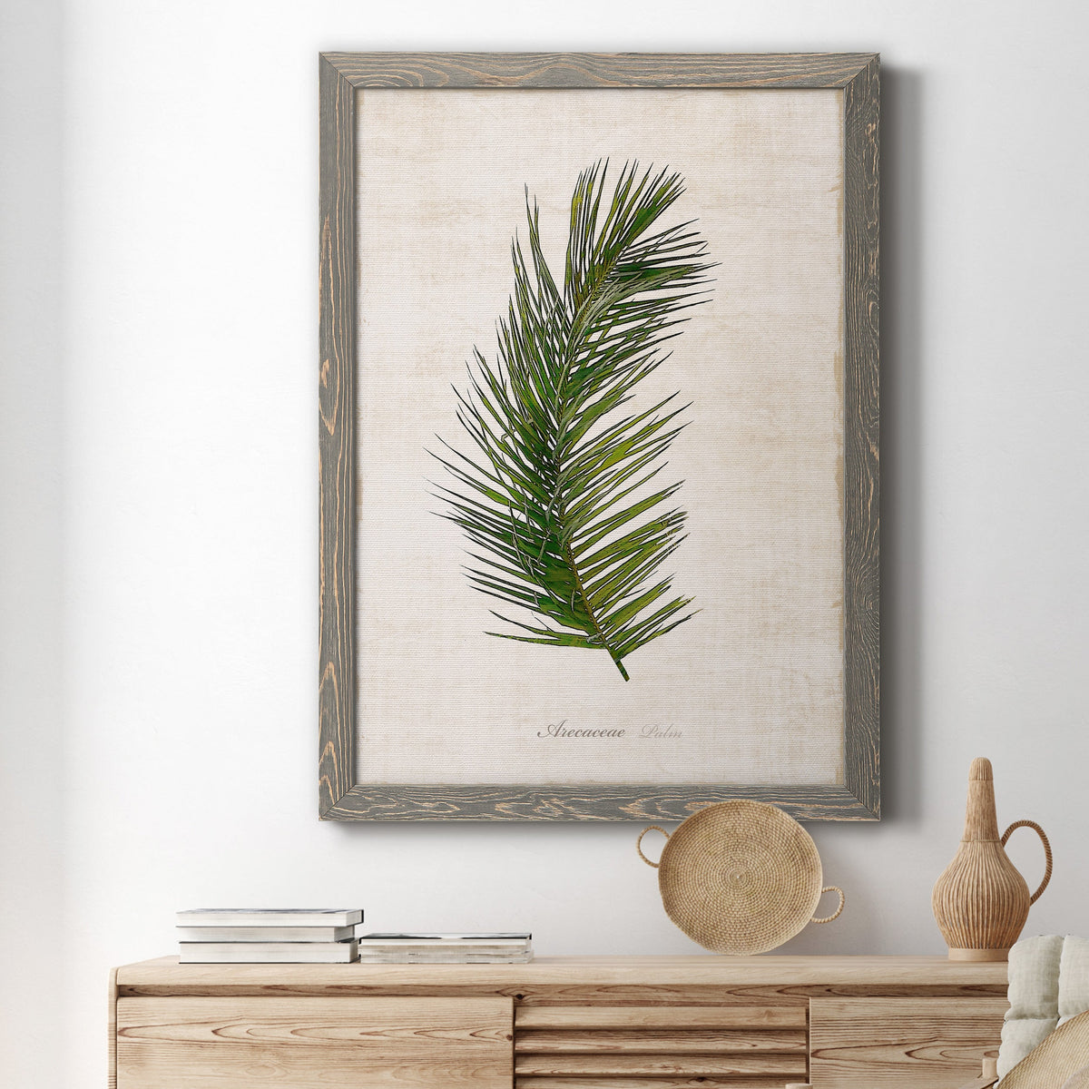 Palm Botanical II - Barnwood Framed Canvas Print