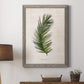Palm Botanical II - Barnwood Framed Canvas Print