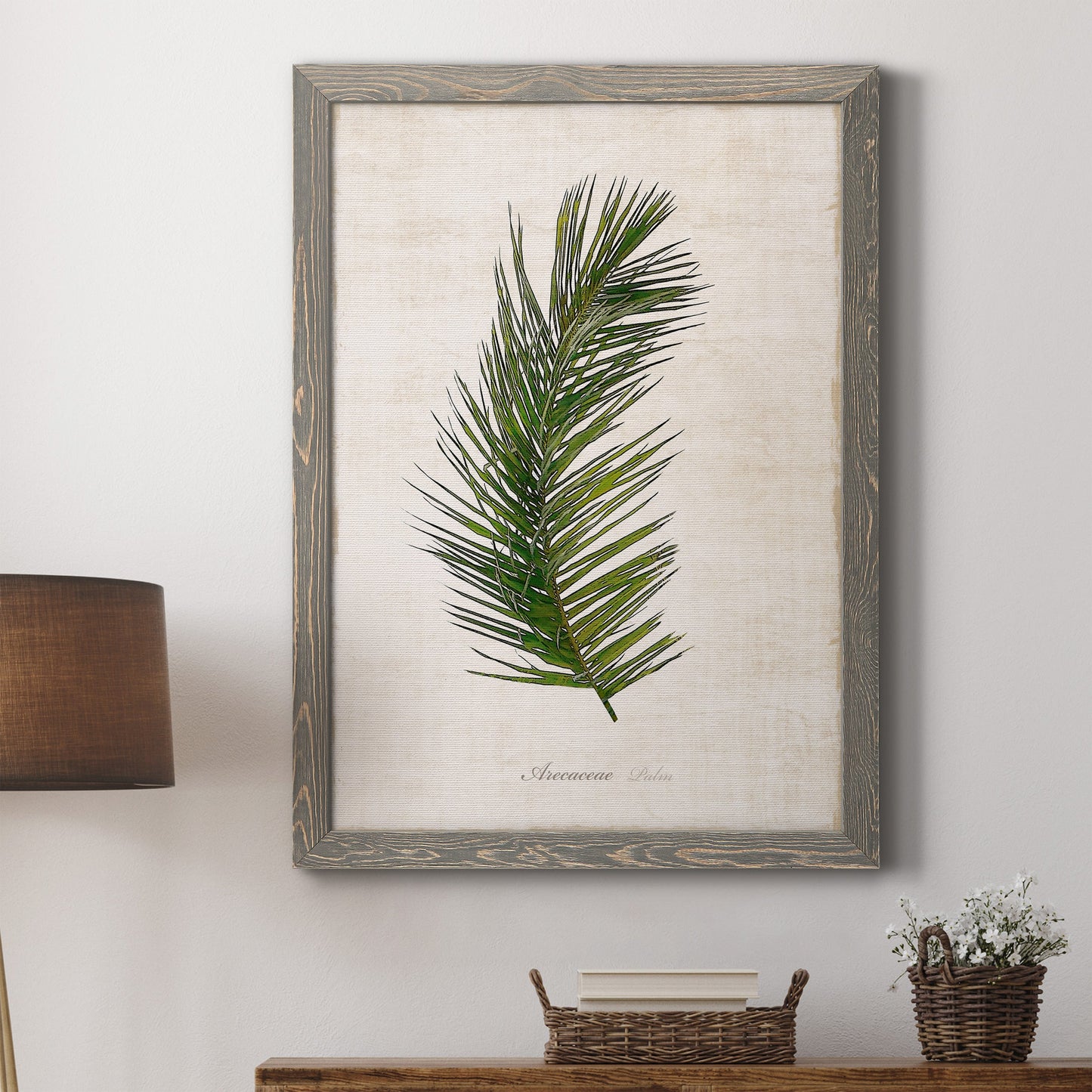 Palm Botanical II - Barnwood Framed Canvas Print