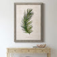 Palm Botanical II - Barnwood Framed Canvas Print
