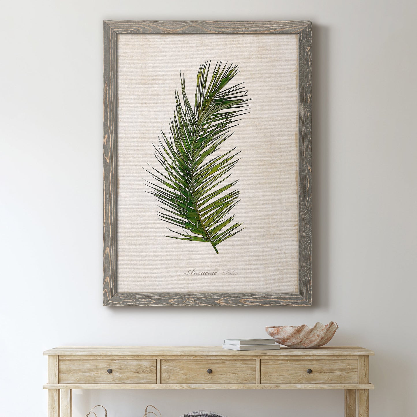 Palm Botanical II - Barnwood Framed Canvas Print
