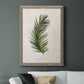 Palm Botanical II - Barnwood Framed Canvas Print
