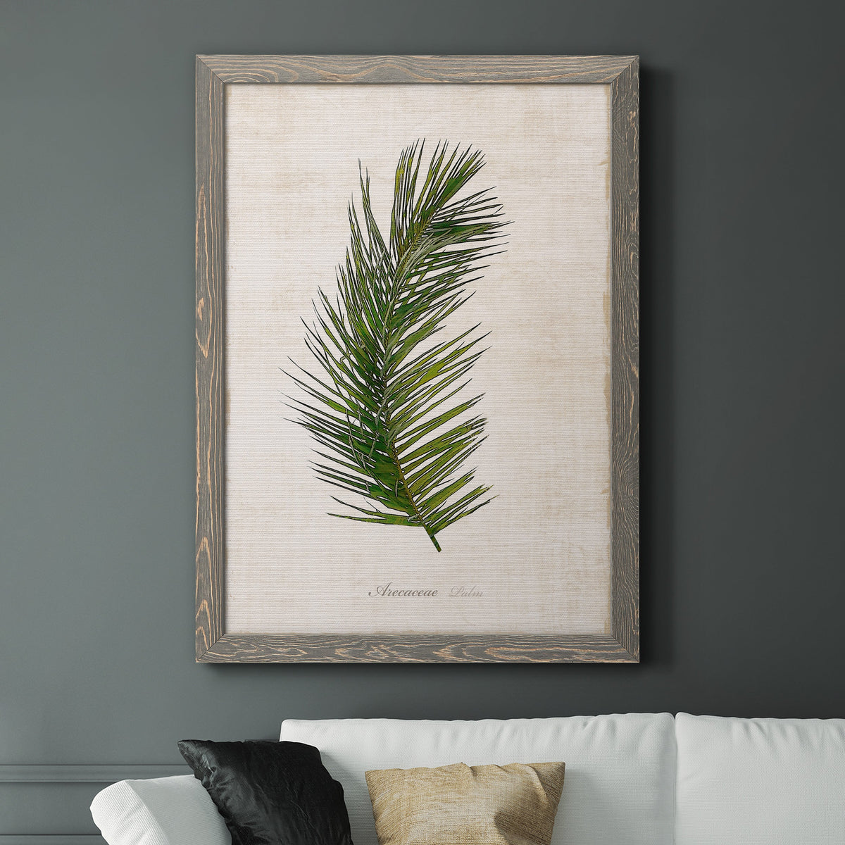 Palm Botanical II - Barnwood Framed Canvas Print