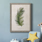 Palm Botanical II - Barnwood Framed Canvas Print
