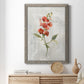 Linen Sweet Pea - Barnwood Framed Canvas Print