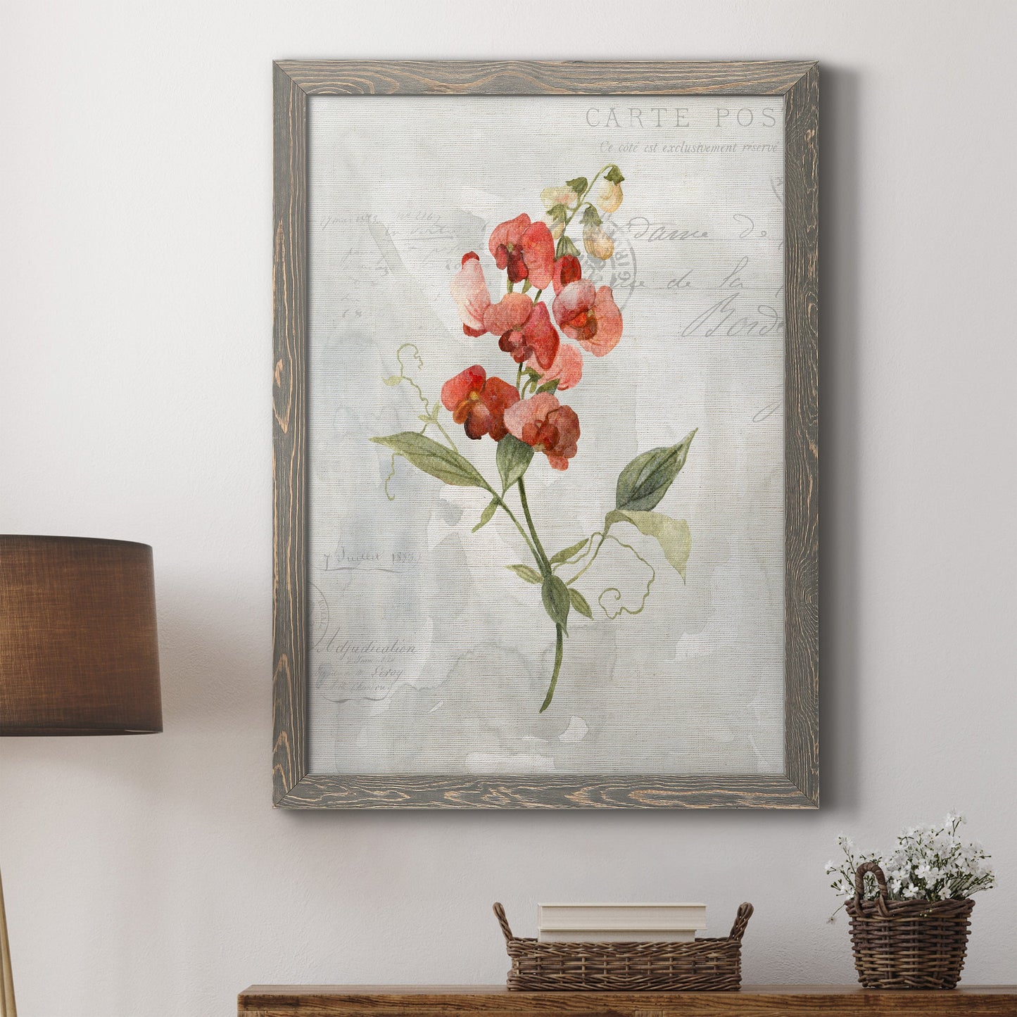 Linen Sweet Pea - Barnwood Framed Canvas Print