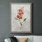 Linen Sweet Pea - Barnwood Framed Canvas Print