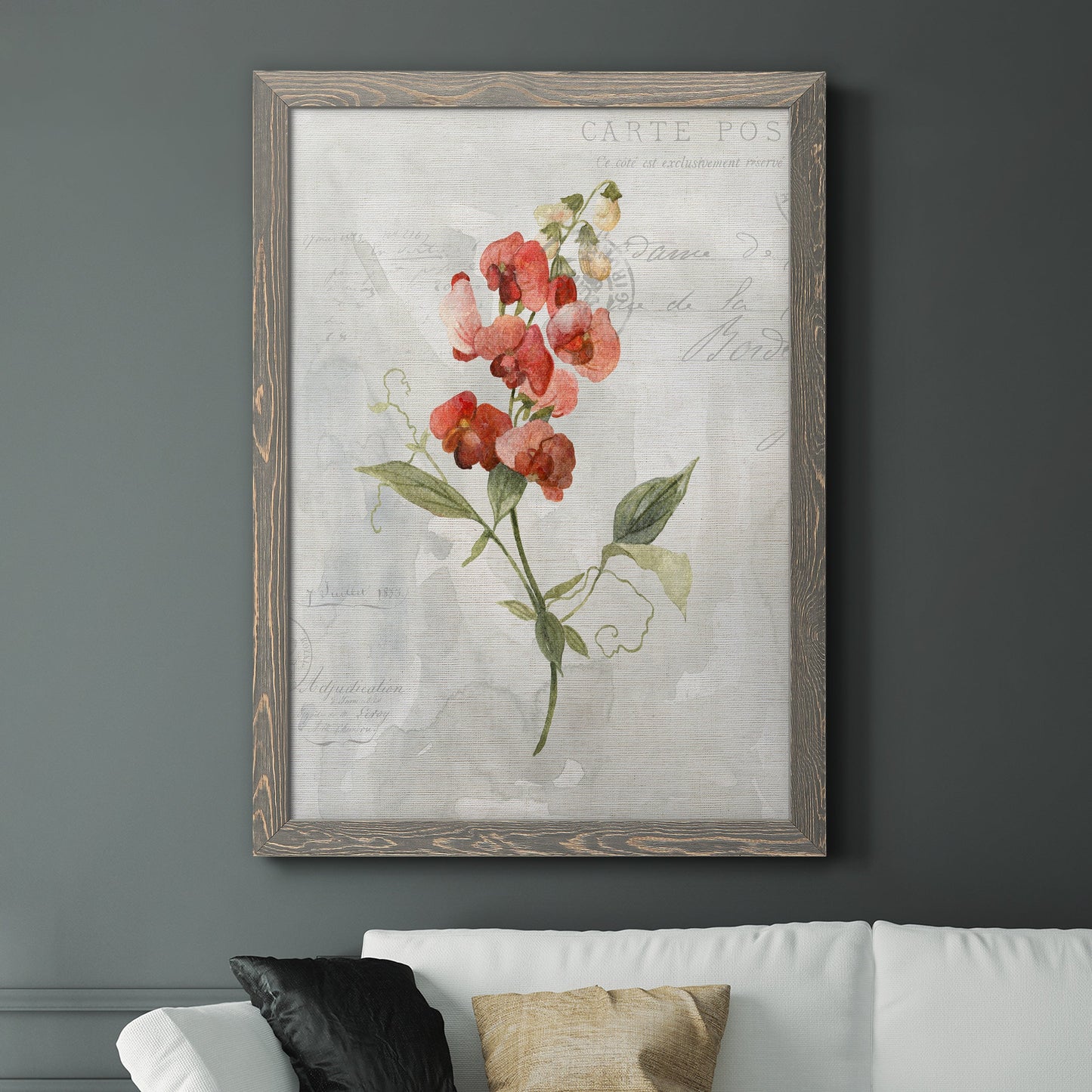 Linen Sweet Pea - Barnwood Framed Canvas Print