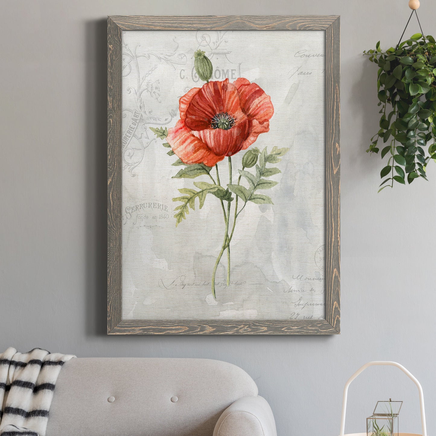 Linen Poppy - Barnwood Framed Canvas Print