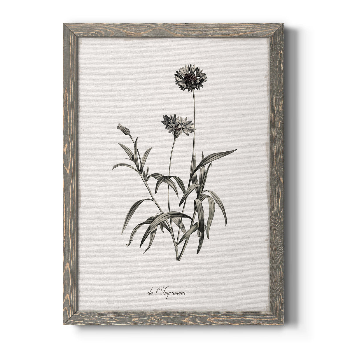 Sketchbook Imperial - Barnwood Framed Canvas Print