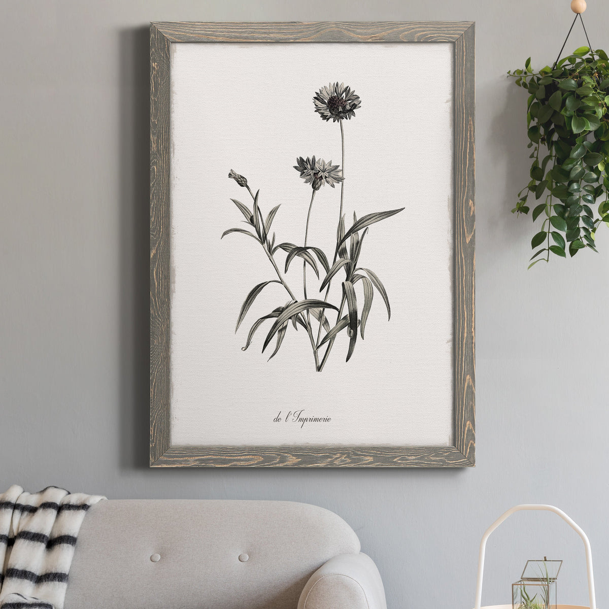 Sketchbook Imperial - Barnwood Framed Canvas Print