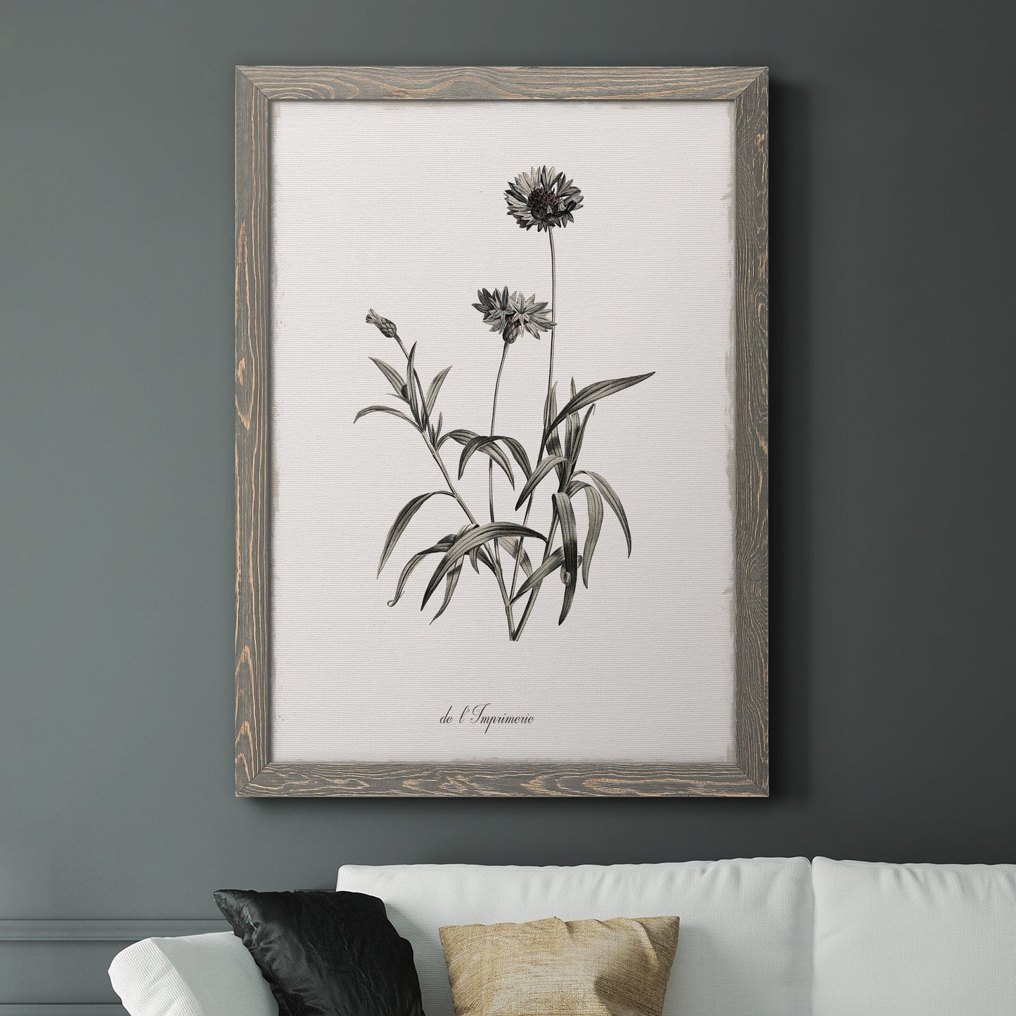 Sketchbook Imperial - Barnwood Framed Canvas Print