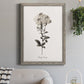 Sketchbook Leadwort - Barnwood Framed Canvas Print