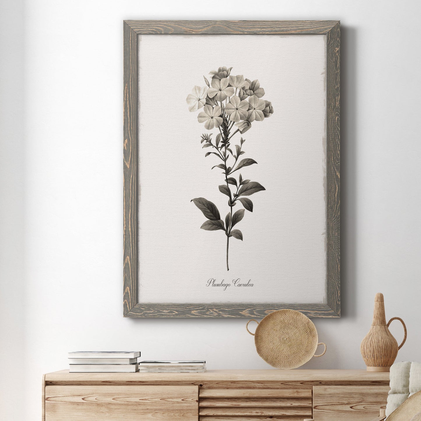 Sketchbook Leadwort - Barnwood Framed Canvas Print