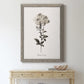 Sketchbook Leadwort - Barnwood Framed Canvas Print