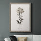 Sketchbook Leadwort - Barnwood Framed Canvas Print