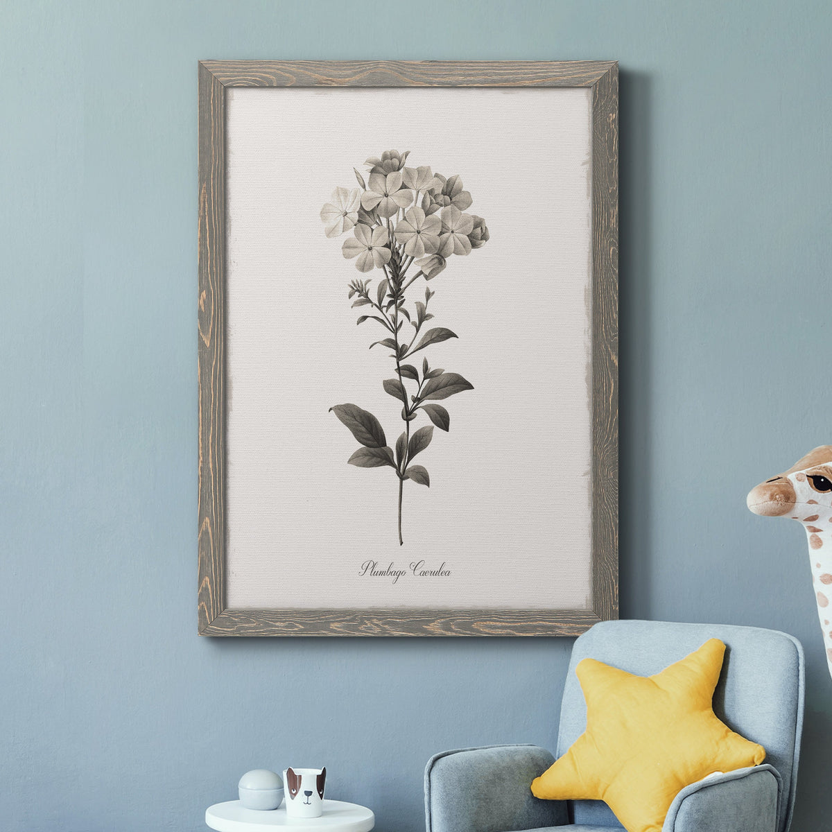 Sketchbook Leadwort - Barnwood Framed Canvas Print