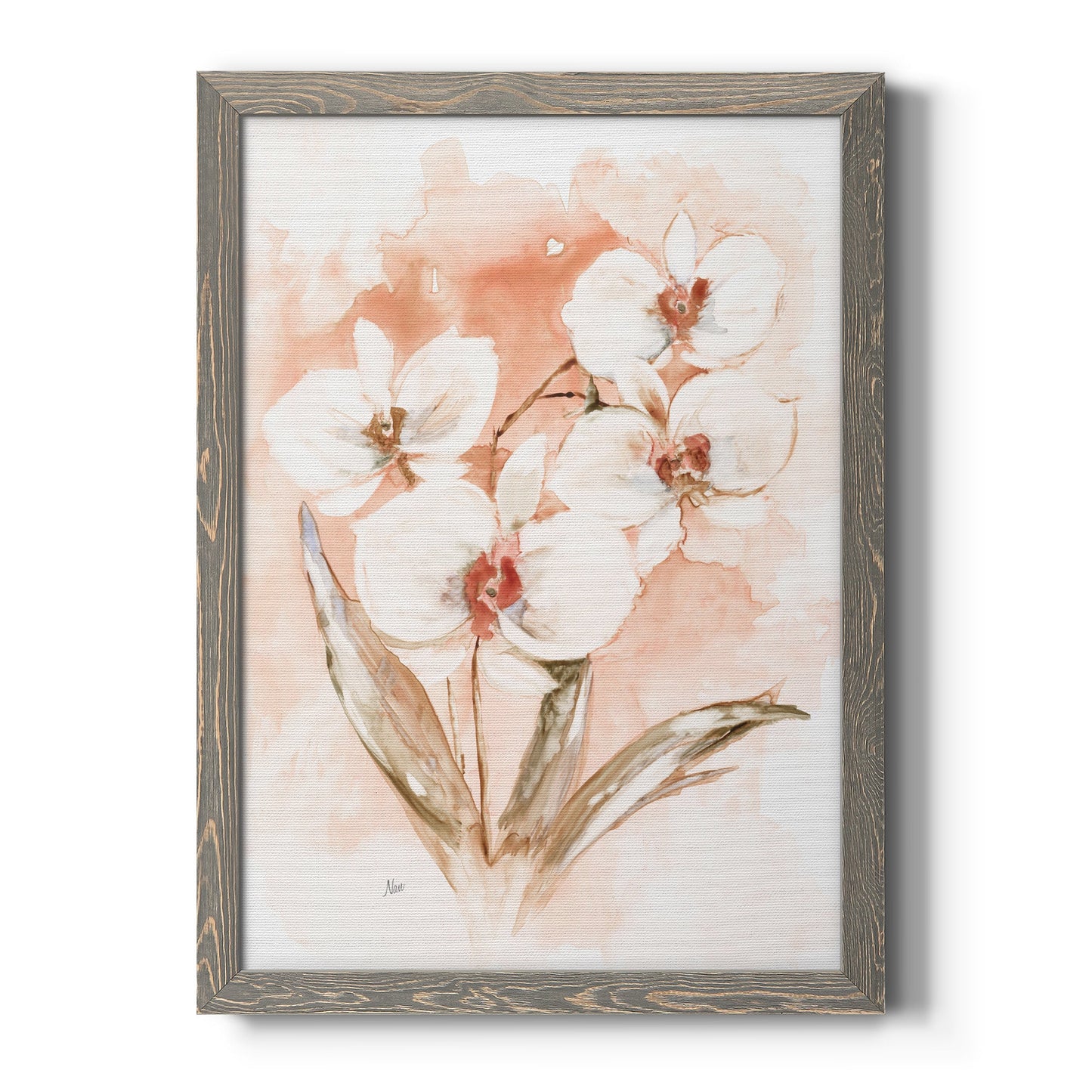 White and Coral Orchid I - Barnwood Framed Canvas Print