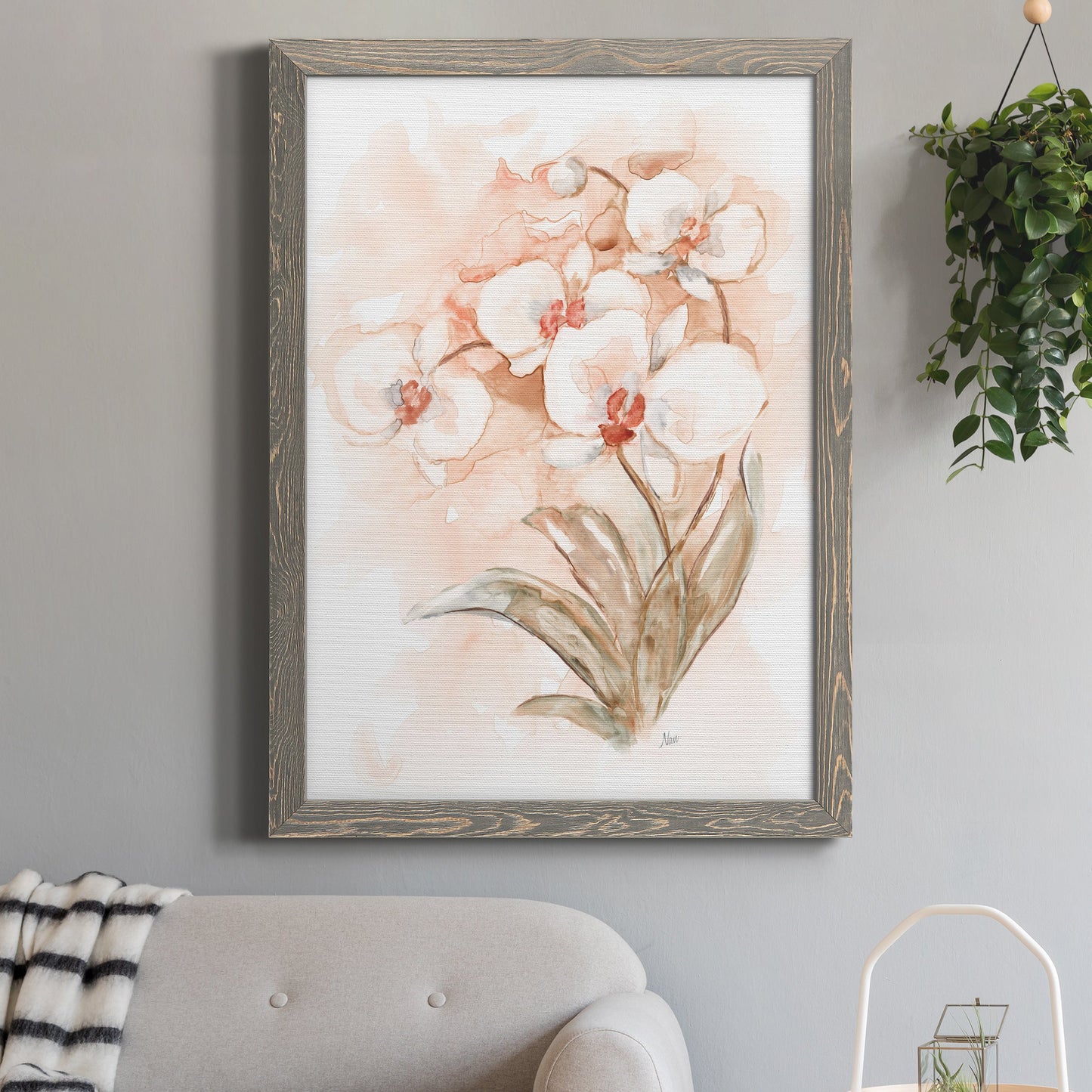 White and Coral Orchid II - Barnwood Framed Canvas Print