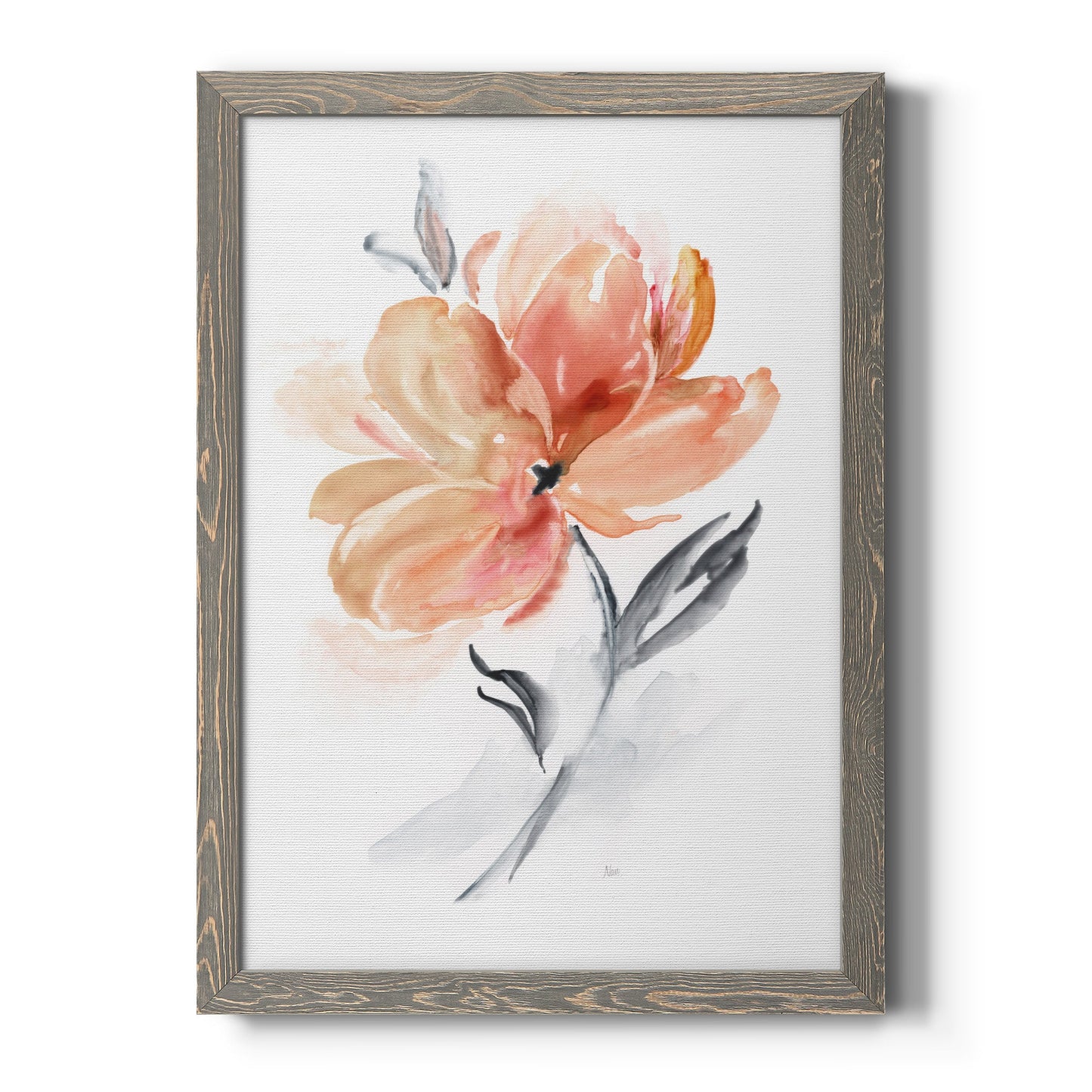 Soft Sensation II - Barnwood Framed Canvas Print