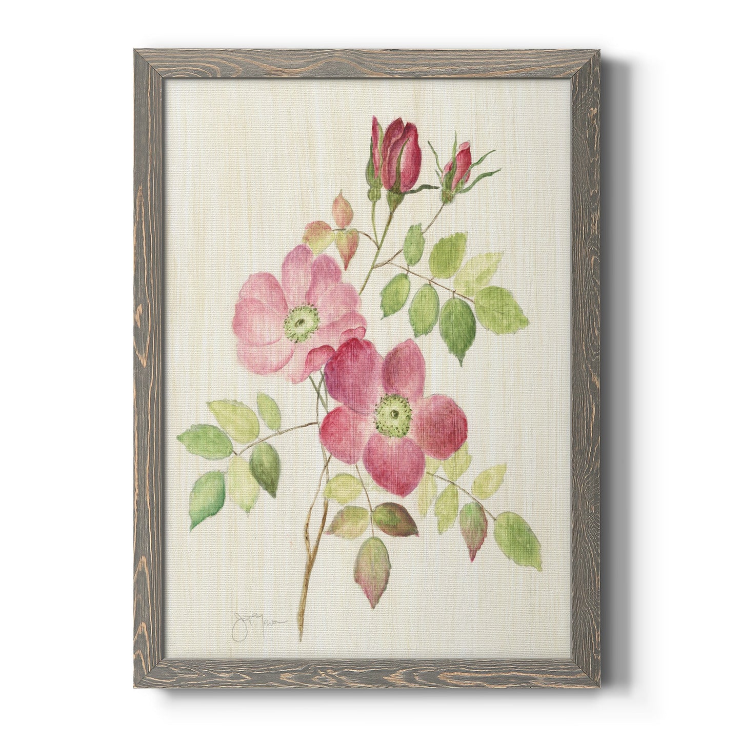Dusty Rose I - Barnwood Framed Canvas Print