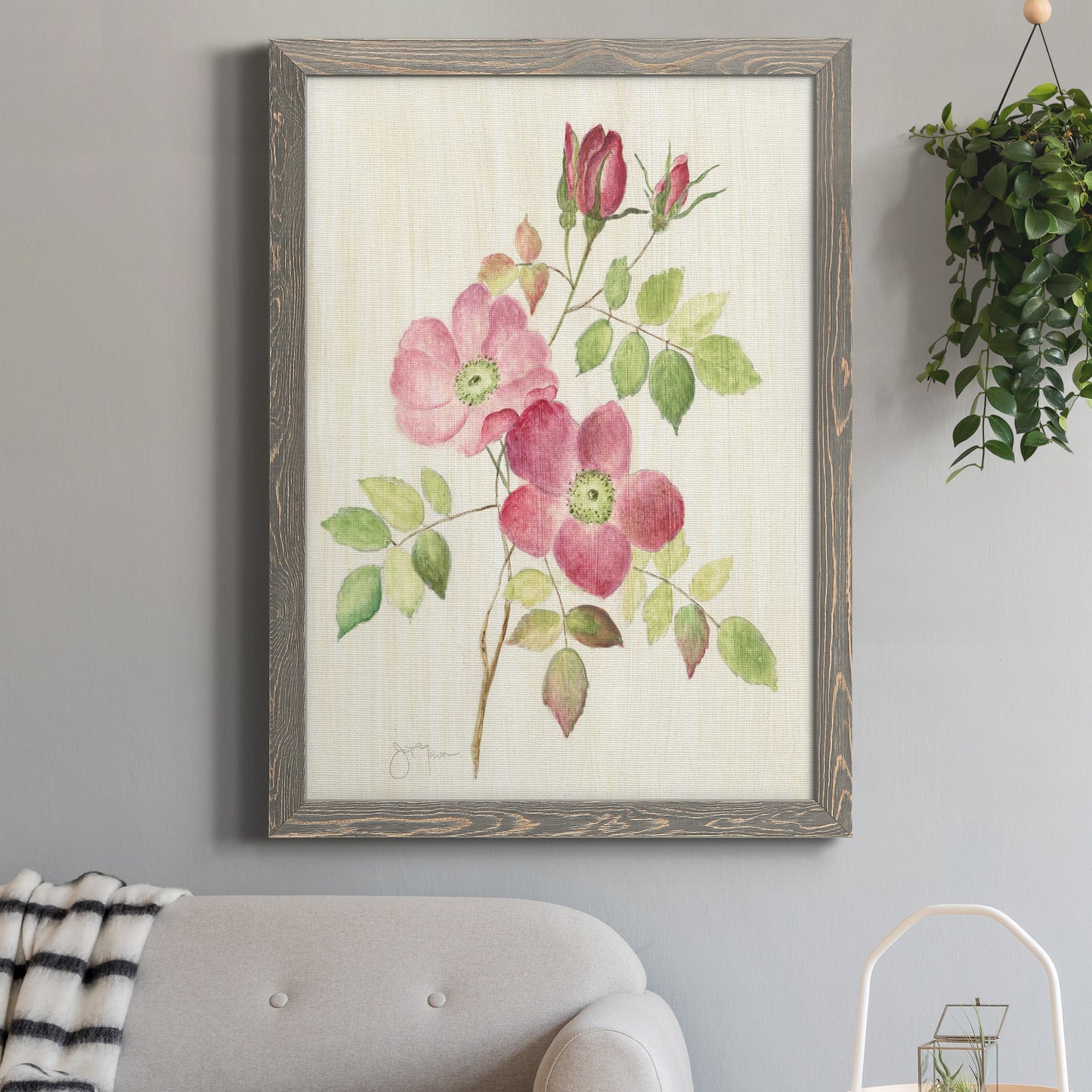 Dusty Rose I - Barnwood Framed Canvas Print