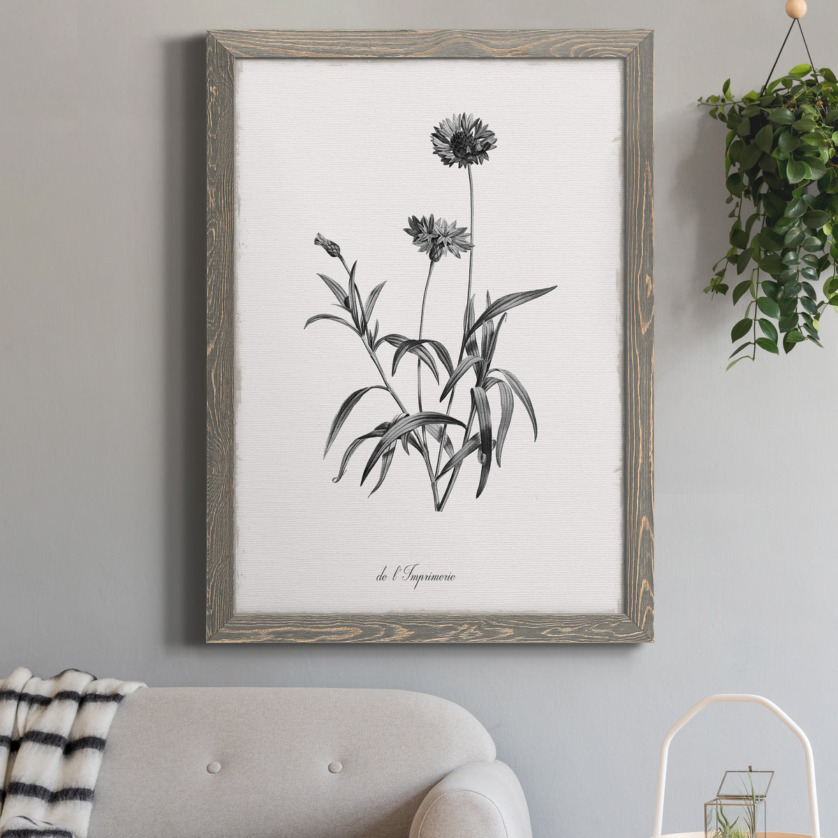 Simply Imperial - Barnwood Framed Canvas Print