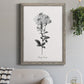 Simply Cape Leadwort - Barnwood Framed Canvas Print