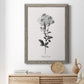 Simply Cape Leadwort - Barnwood Framed Canvas Print
