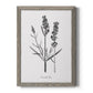 Simply Lavender - Barnwood Framed Canvas Print