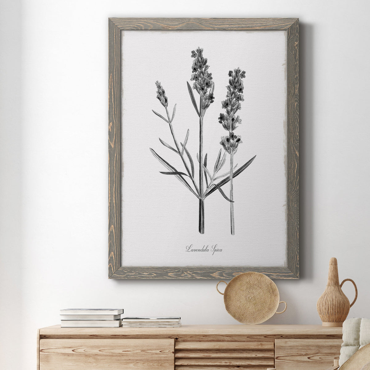 Simply Lavender - Barnwood Framed Canvas Print