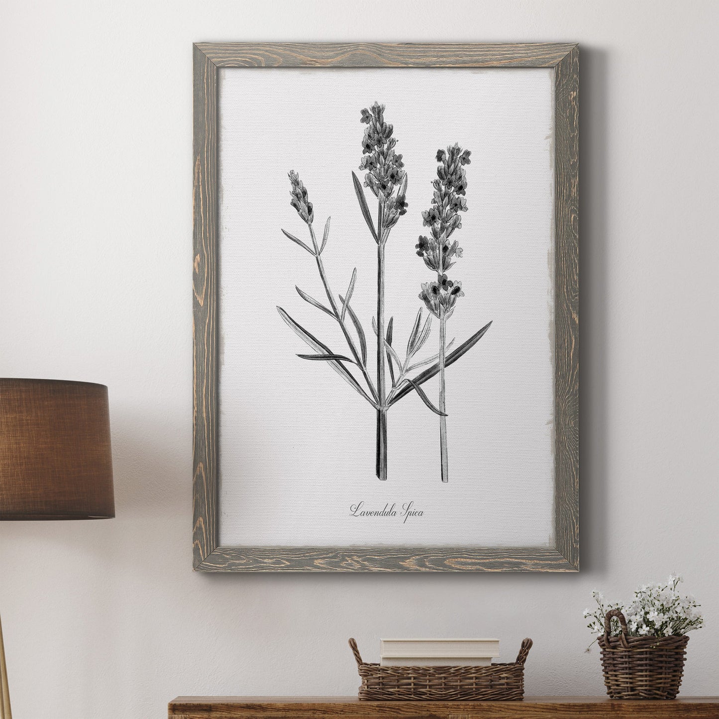 Simply Lavender - Barnwood Framed Canvas Print
