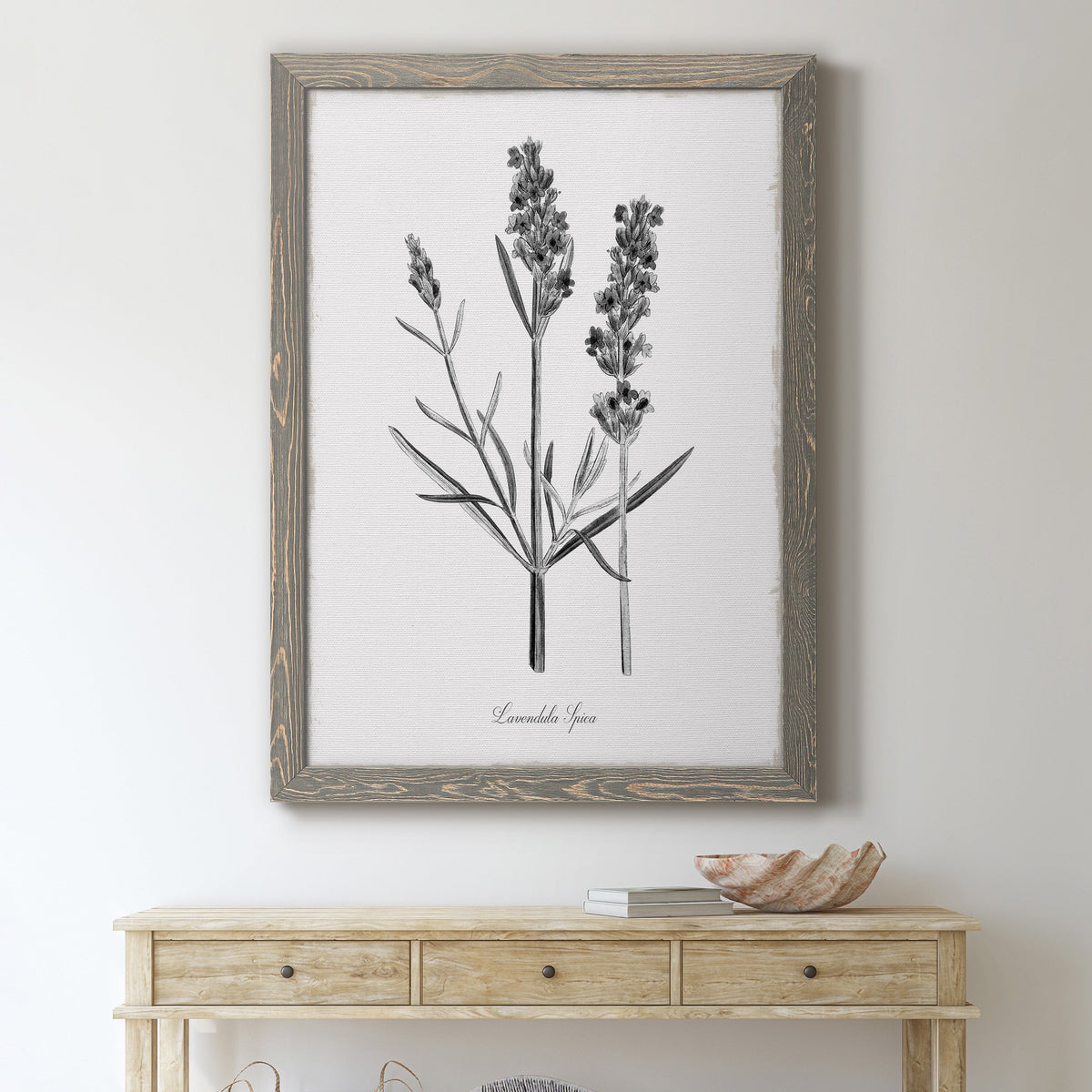 Simply Lavender - Barnwood Framed Canvas Print
