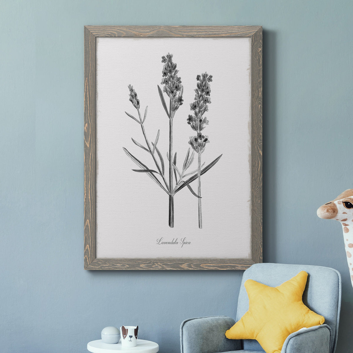 Simply Lavender - Barnwood Framed Canvas Print