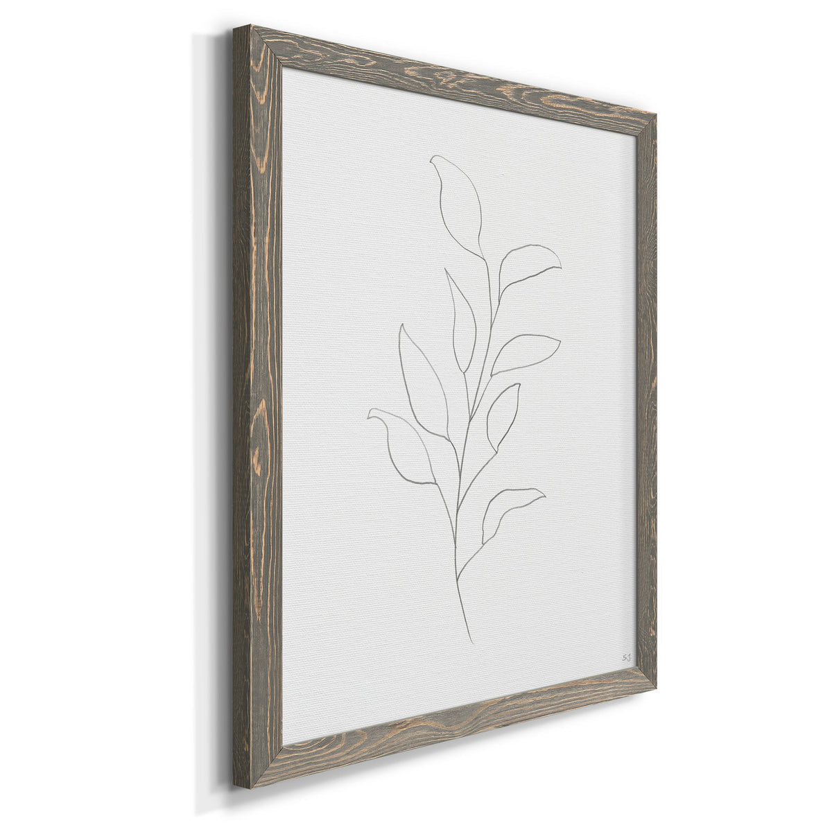 Botanical Gesture VI - Barnwood Framed Canvas Print