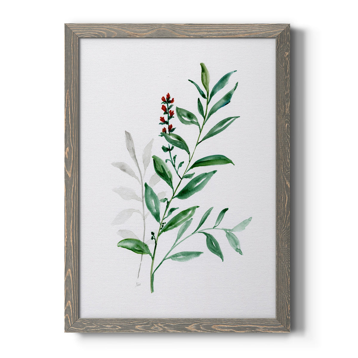 Freshly Picked III - Barnwood Framed Canvas Print