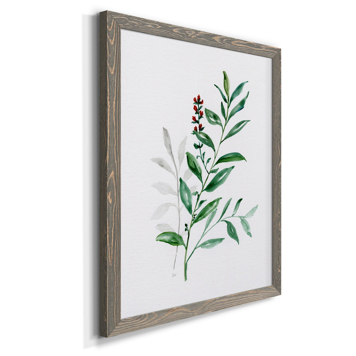 Freshly Picked III - Barnwood Framed Canvas Print