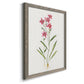 Delicate Pink II - Barnwood Framed Canvas Print