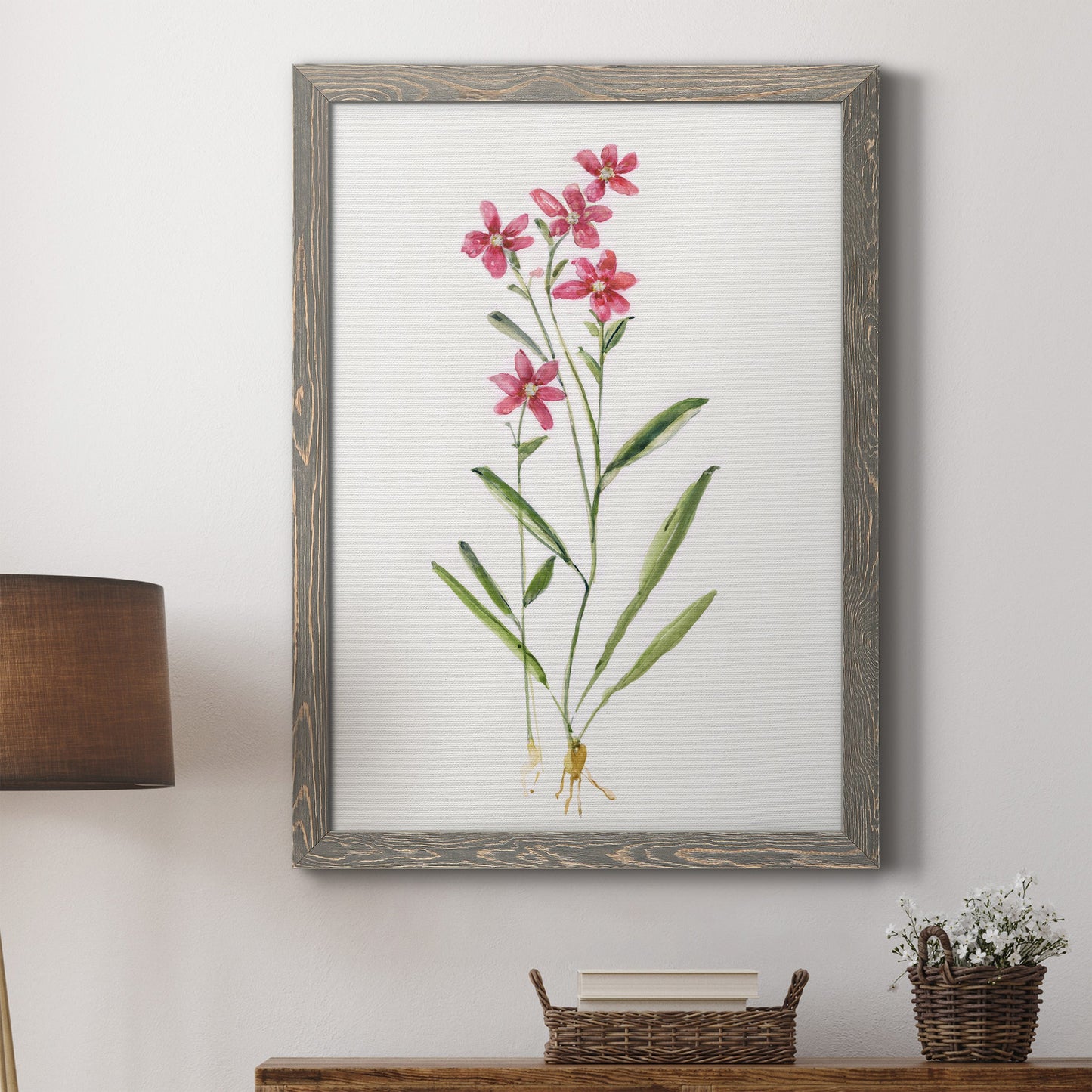 Delicate Pink II - Barnwood Framed Canvas Print