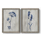 Set of two gray barnwood framed canvas prints featuring two rustic monochrome botanical paintings featuring blue wildflower stems on weathered neutral paper.