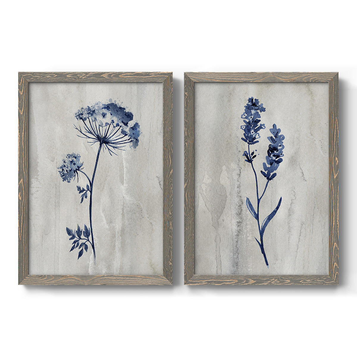 Set of two gray barnwood framed canvas prints featuring two rustic monochrome botanical paintings featuring blue wildflower stems on weathered neutral paper.