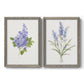 Set of two gray barnwood framed canvas prints featuring two delicate watercolor botanical studies featuring purple lilac and blue wildflower stems.
