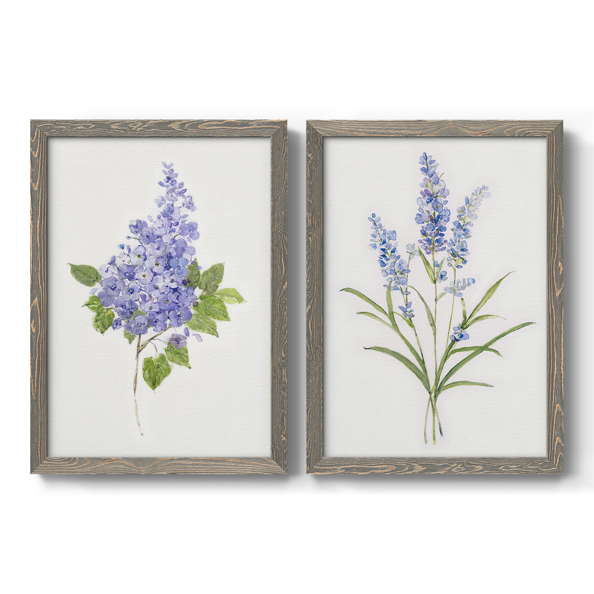 Set of two gray barnwood framed canvas prints featuring two delicate watercolor botanical studies featuring purple lilac and blue wildflower stems.