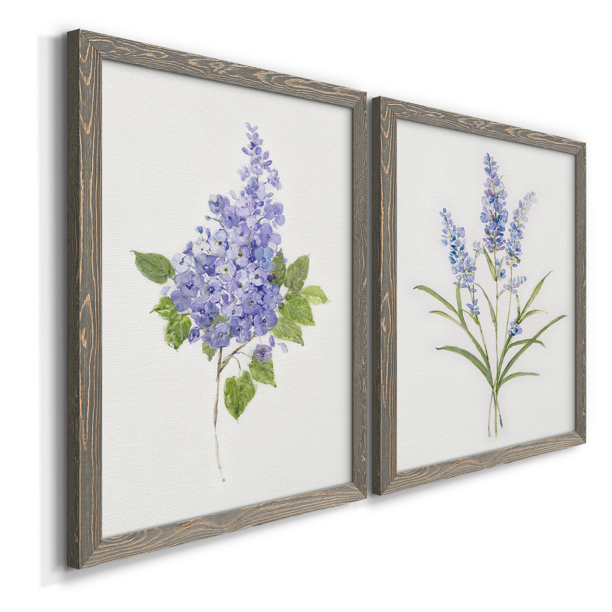 Angled view of a set of two gray barnwood framed canvas prints featuring two delicate watercolor botanical studies featuring purple lilac and blue wildflower stems.