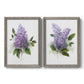 Set of two gray barnwood framed canvas prints featuring two romantic traditional floral paintings featuring full purple lilac clusters with green leaves.