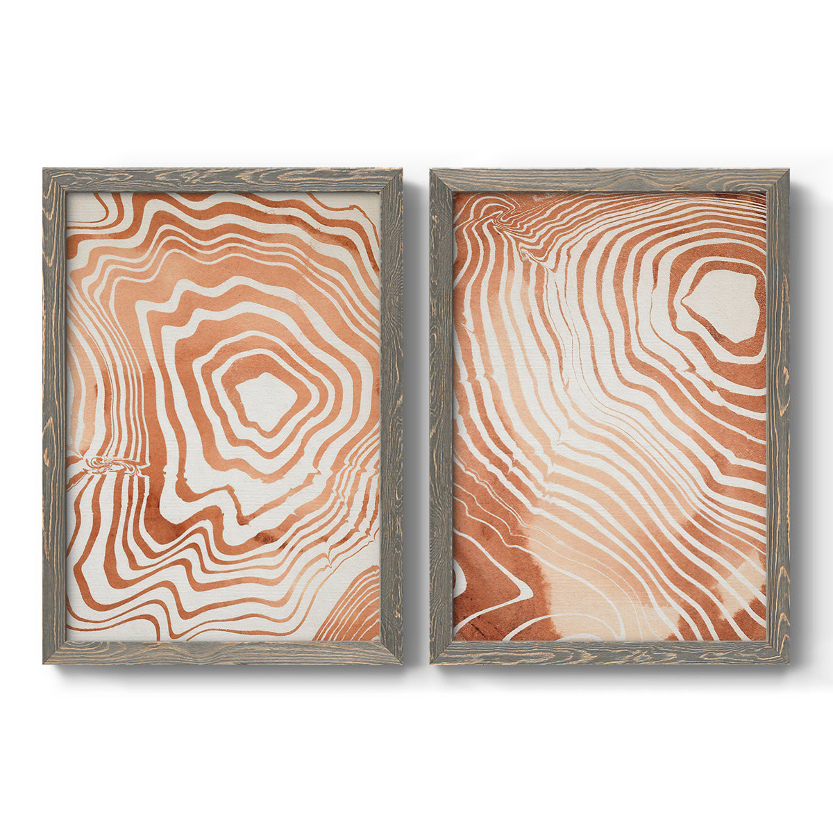 Set of two gray barnwood framed canvas prints featuring two minimalist marbled pattern abstracts featuring concentric wood-grain rings and rippling contour lines.