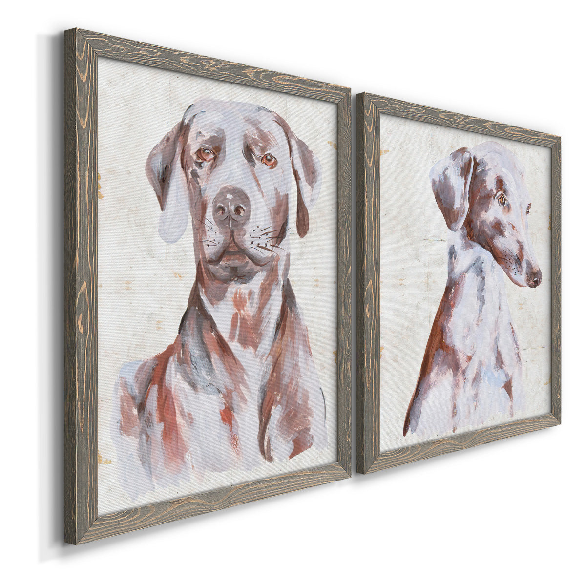 Angled view of a set of two gray barnwood framed canvas prints featuring two traditional watercolor pet paintings featuring gentle seated dog portraits.