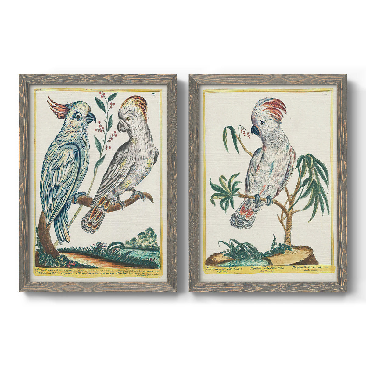 Set of two gray barnwood framed canvas prints featuring two atmospheric abstract paintings featuring misty blue gray and violet marks hovering across pale grounds.