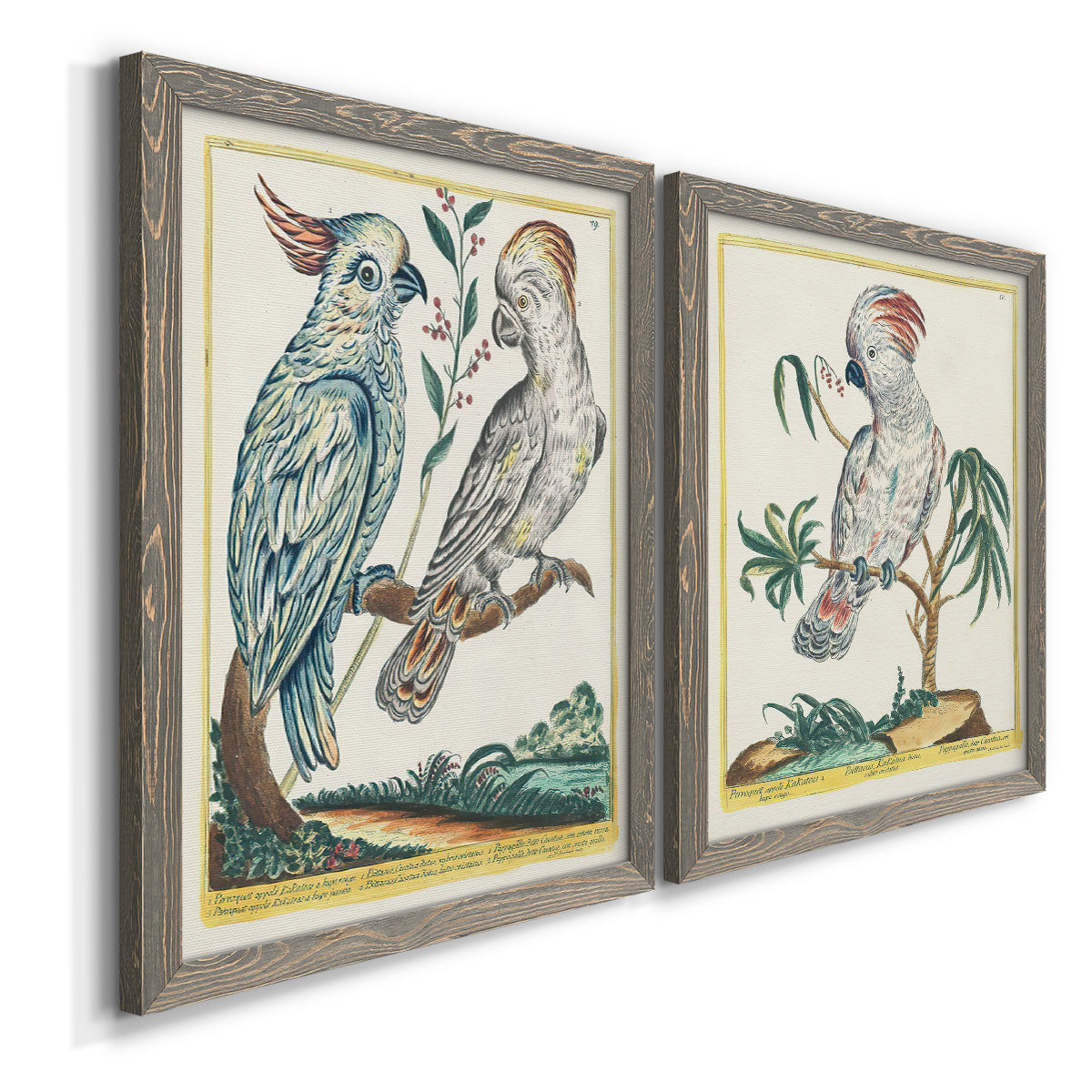Angled view of a set of two gray barnwood framed canvas prints featuring two atmospheric abstract paintings featuring misty blue gray and violet marks hovering across pale grounds.